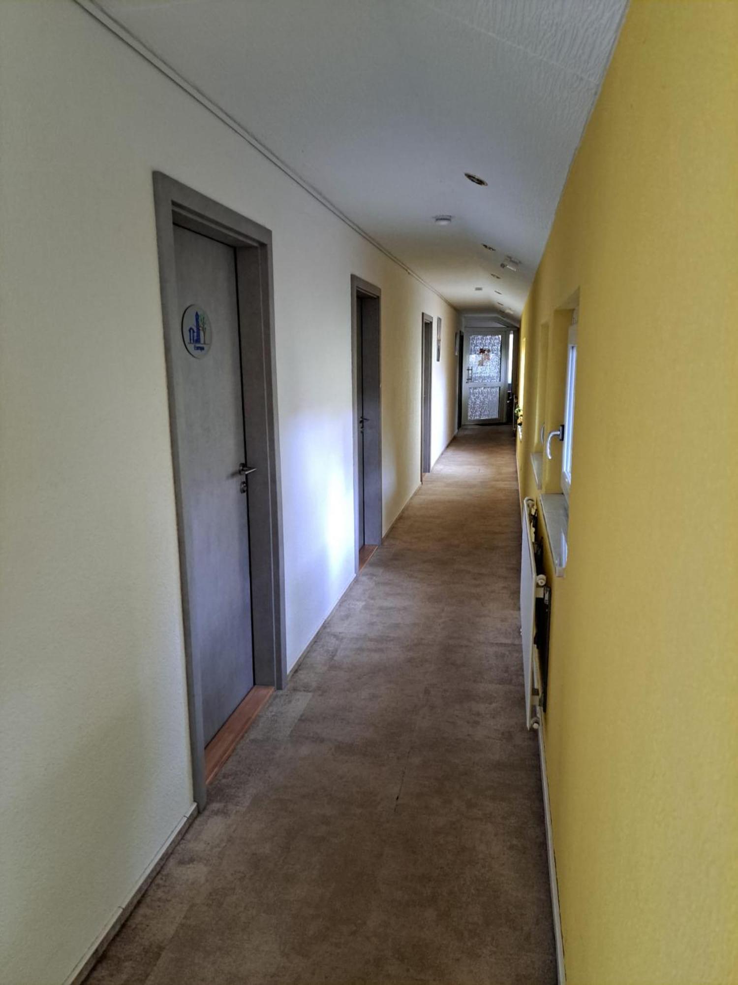 W.I.P. Welt Im Park Apartment Dresden Luaran gambar